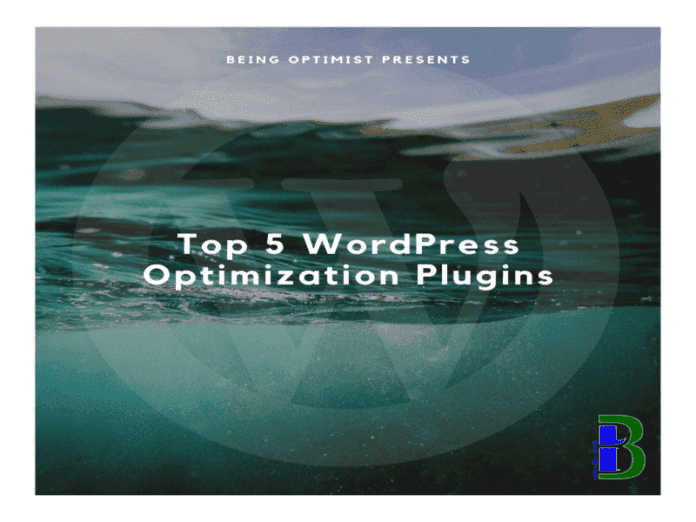 Top-5-WordPress-image-optimization-Plugins