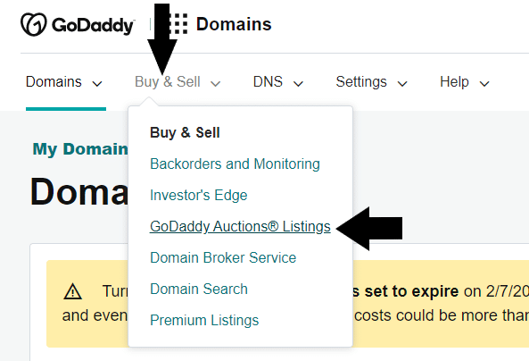 GoDaddy Auctions Listing