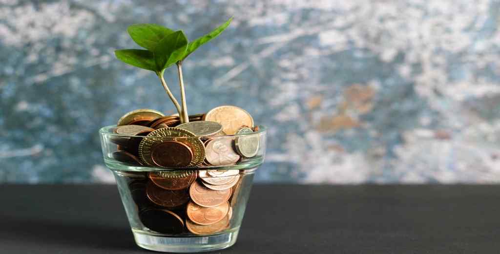 A cup of coins has a sprout growing from it.
